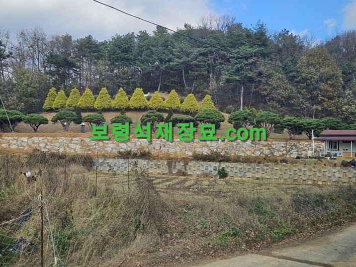 F117_전의면 다빙리 축대시공-5-4.jpg